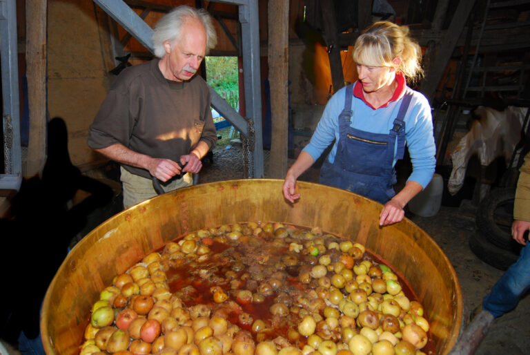 Het koken van het fruit.